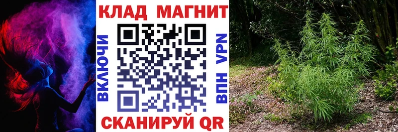 Наркошоп купить Alpha-PVP COCAIN МЕФ Бошки Шишки Нязепетровск