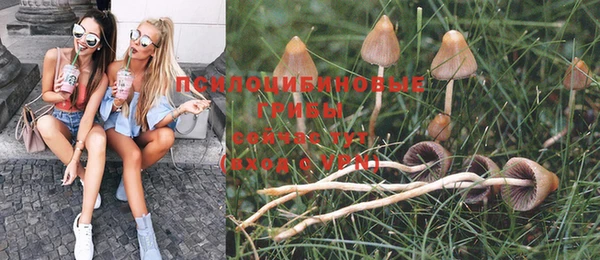 эйфоретик Карпинск