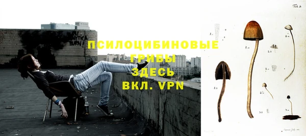 эйфоретик Карпинск