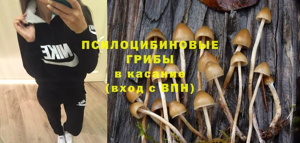 сатива Карталы