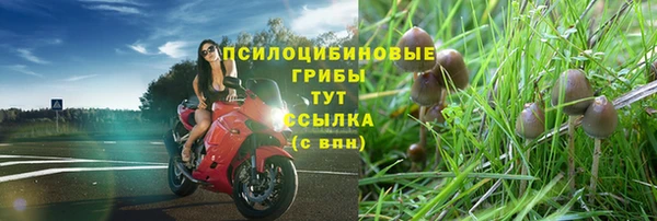 сатива Карталы