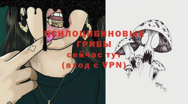 эйфоретик Карпинск